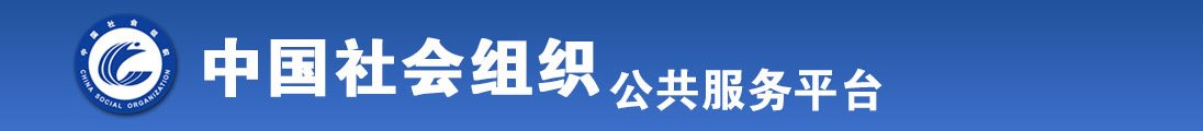 操逼视频猛全国社会组织信息查询